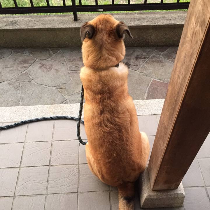 E3db61f2 c193 4739 902d 2ffa54a2375c 1534641387718