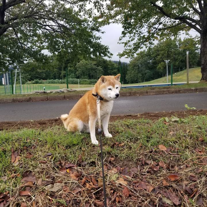 E3db8d7d 8f14 4b30 a248 eb5b11a651d4 1696828775232