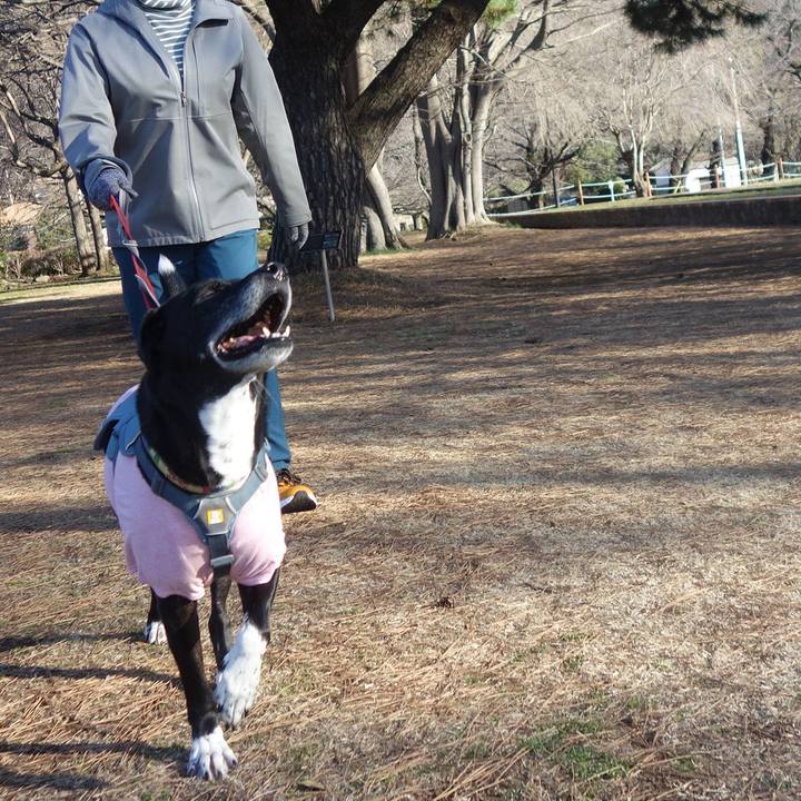 E3dbf003 4c1d 4b4a 8d3a 2bc25763bce7 1709426304951