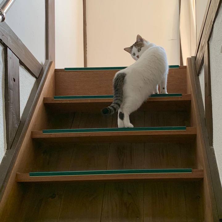 E3dc2146 e449 4124 81cf 2a15100abcf3 1582249204659