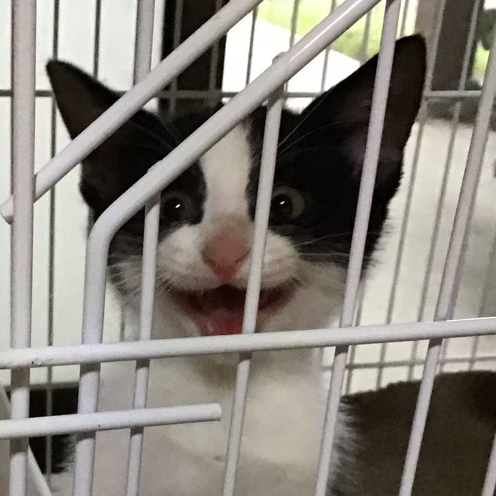 E3dc2460 5b98 4343 aa39 5782b2f95bb7 1624785448174