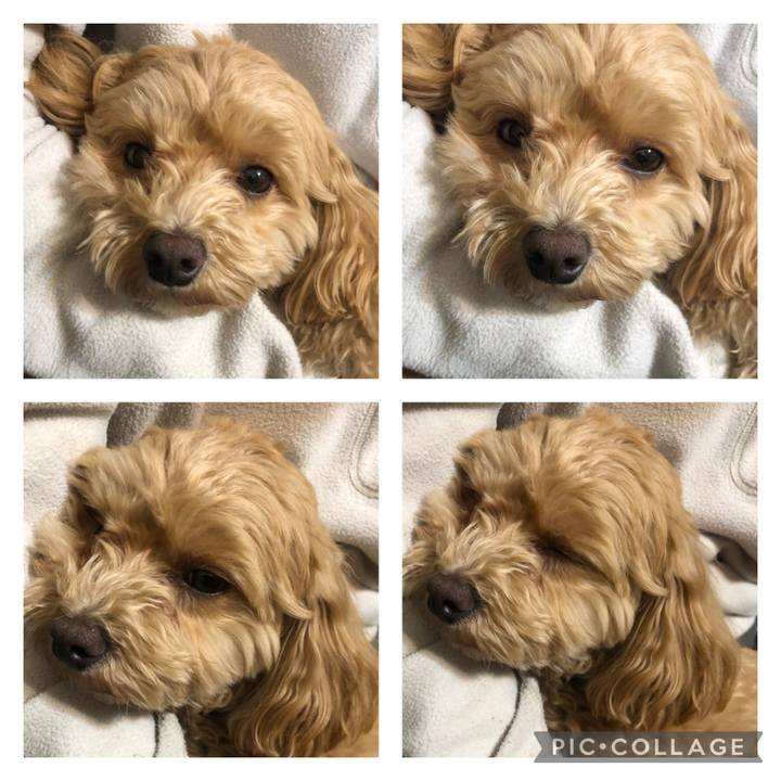 E3dc5e04 c0d8 48a0 bac0 613817c46505 1612558630468