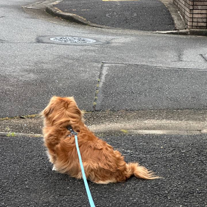 E3dc6466 2277 4d38 b850 41e0d1febbe2 1713733132976