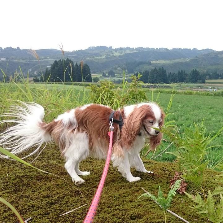 E3dc82ff 8e35 4f07 9865 f93e3f3f91be 1567233249552