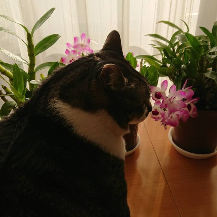 E3dc8fef cf61 4706 90d1 3e01585846c4 1578612170699