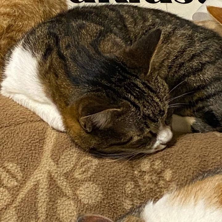 E3dc9003 050d 4422 8094 24e11f4f2b3e 1616777921384