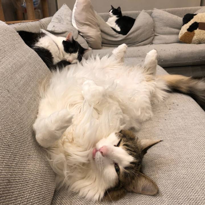 E3dcaf1b 0a36 4823 a906 dda34ccd42b0 1673998463862