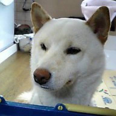 E3dcbb2a 03e8 4d26 85e9 0f1d6478e415 1655776729935