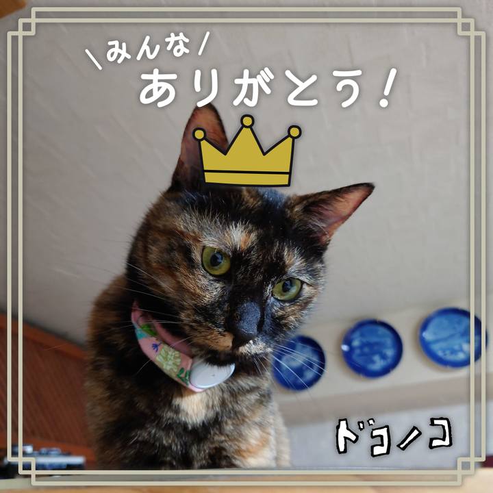 E3dce22a baf5 4728 97bf 9154a8e14365 1623589585516