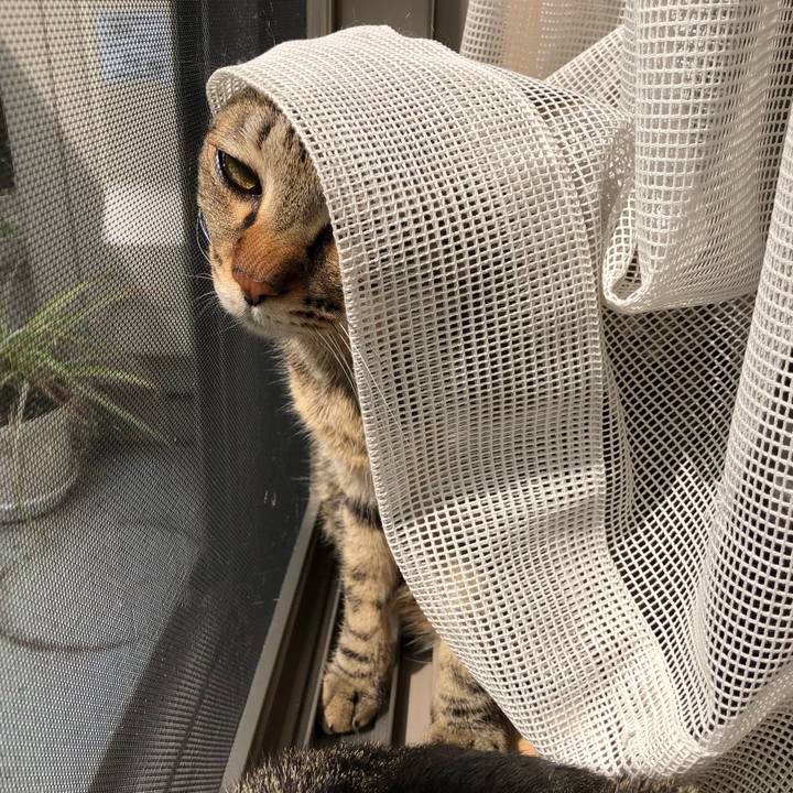 E3dd12af d5f8 4509 b5be 8d3b4d43f494 1522122507926