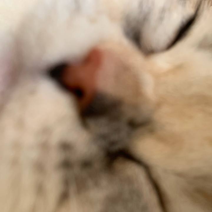 E3dd2a21 da9c 4c68 861f a054fd152ea4 1708213372109