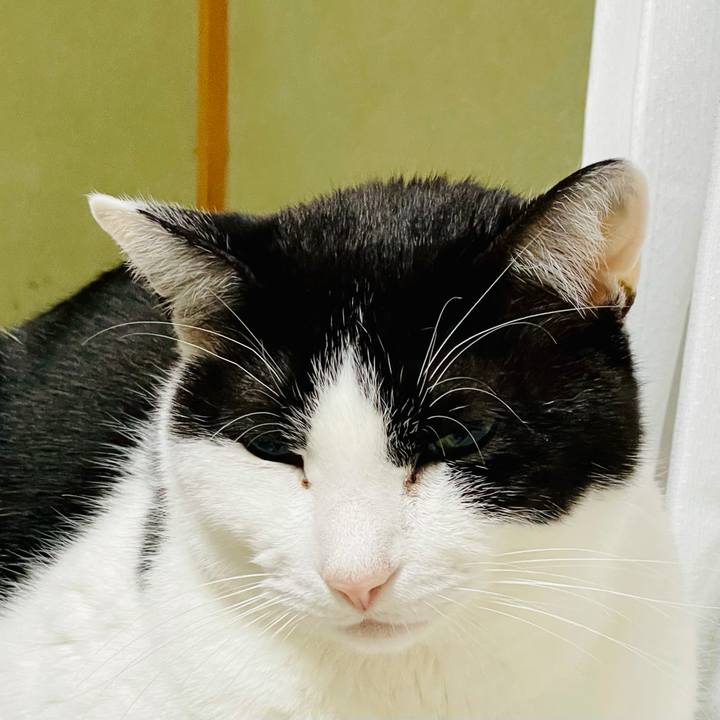 E3dd3219 6fea 4cef b401 e3ce60ee4937 1617418348407