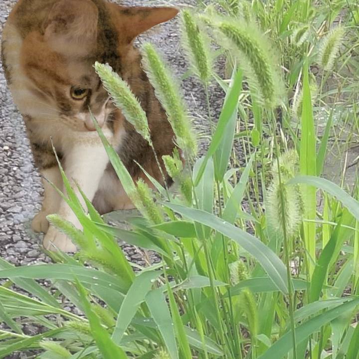 E3dd60ed 3265 4ea8 b7a0 1d1b6261ae89 1664491904049