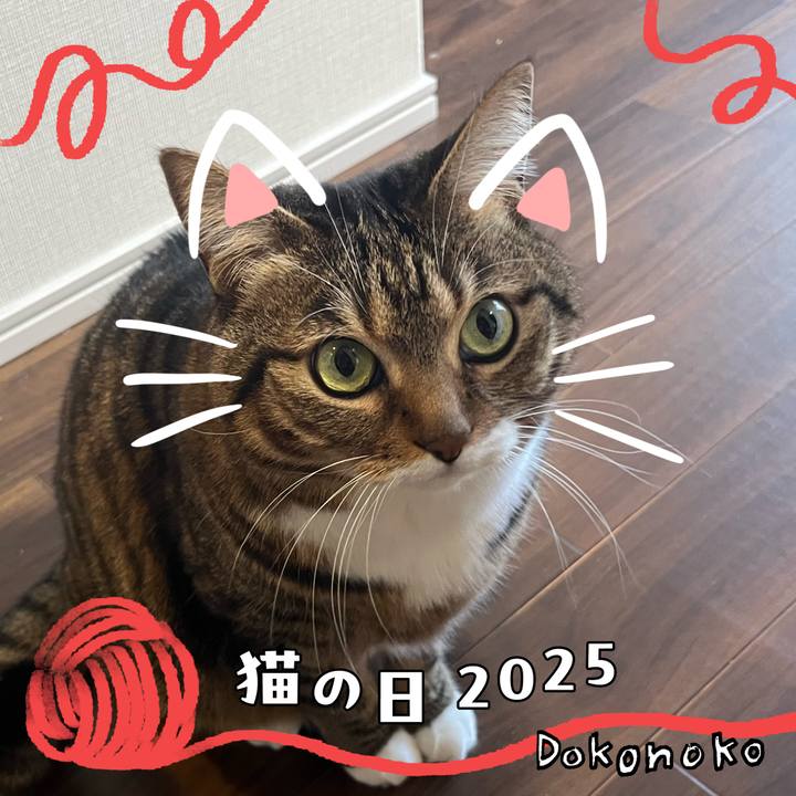 E3dd69e5 7ef7 4c42 a125 0b190e25046f 1740482486871