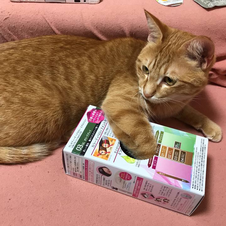 E3dd714d ec81 424a 9e31 0d423274825a 1519219864617