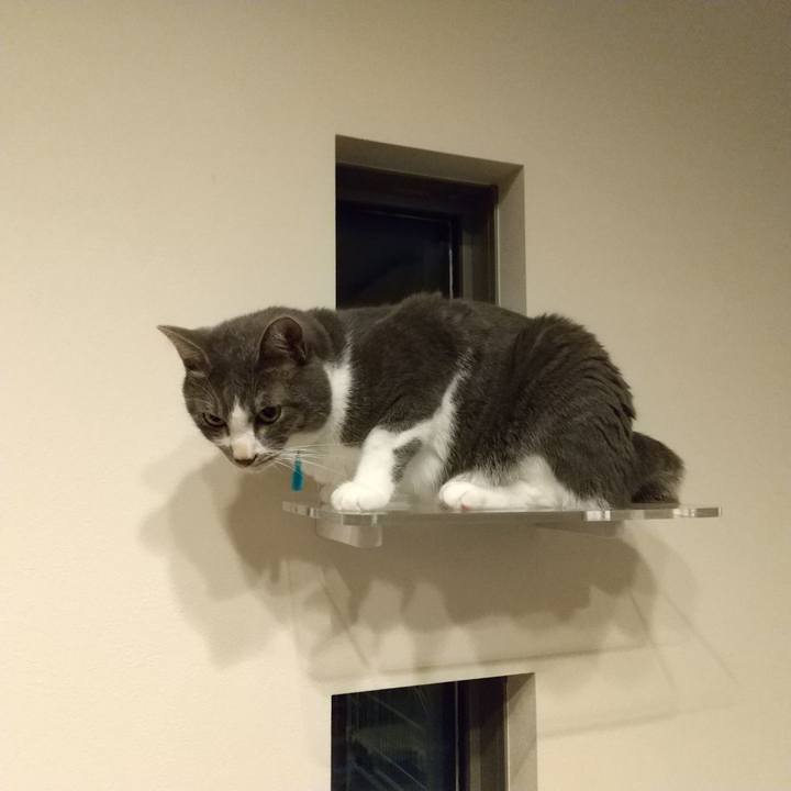 E3dda2d6 66a4 4d4e ad3c 75d18e335c1d 1626695038571