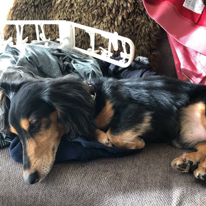 E3ddabdb 2b9d 4838 8b55 ca6c044103e0 1575175456955