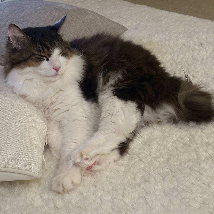 E3ddbcce d874 497a 929c eeebc309cbfd 1772247968542