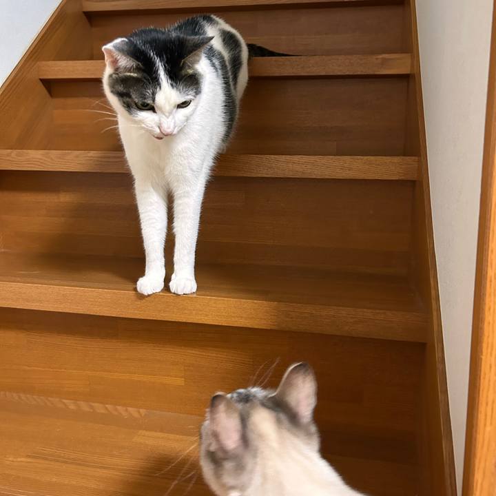 E3de0cb0 8713 4d5e 968f 496270bbde35 1753279753944