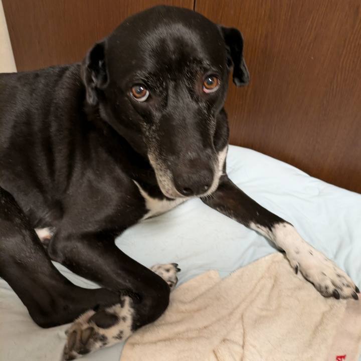 E3de0f4d 03e1 48ea 9c57 f4febcc66012 1723035157761