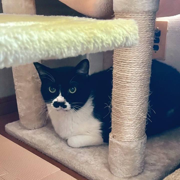 E3de3b16 2558 4cf0 b064 343211d5dcd9 1697856636909