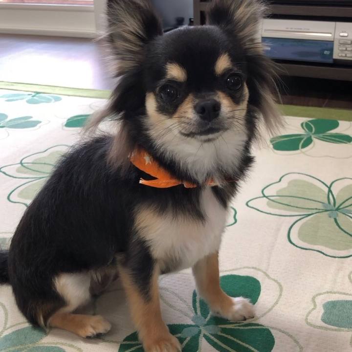 E3dea974 5452 4032 9c3f 336df7f7136f 1558062171538