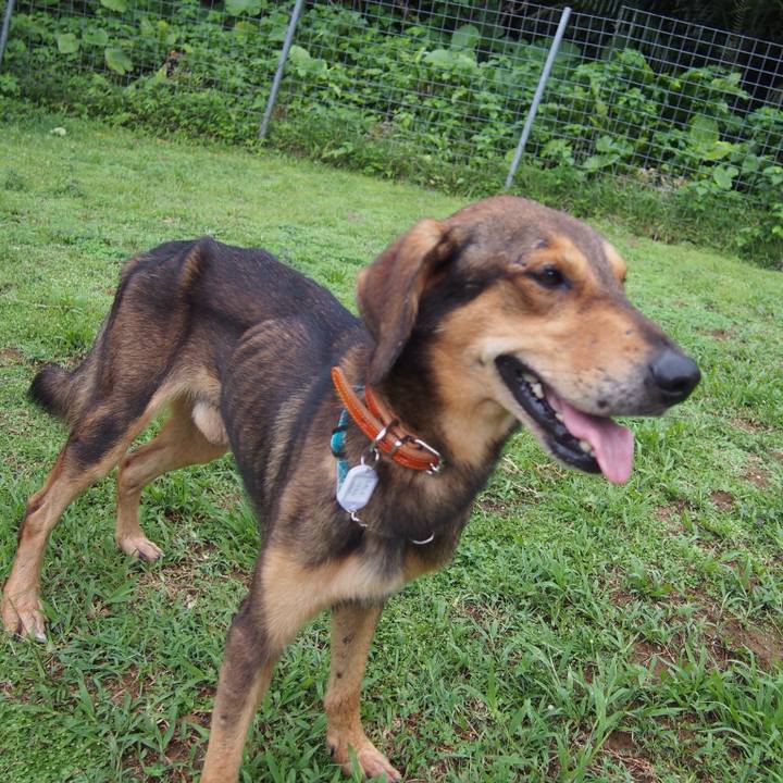 E3deb63e 751c 4fd6 9c6b 128d105af4a1 1507902981385