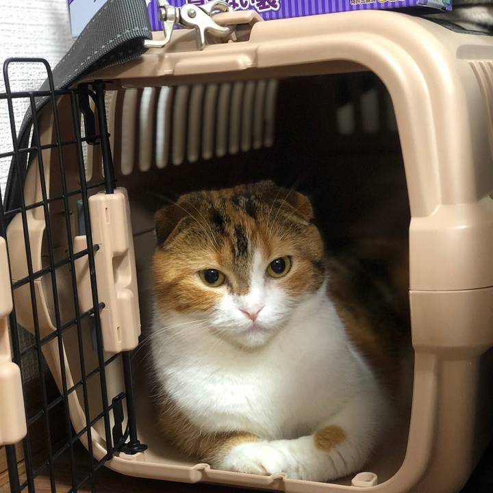 E3dec4dd 38d1 4ee3 8db2 6751b0313f09 1541597622483