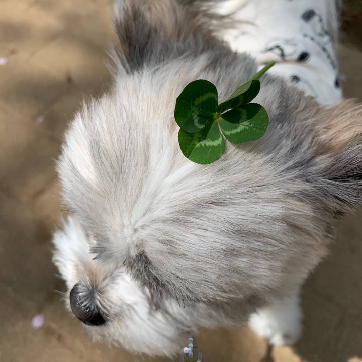 E3dec663 9439 45e3 916c 4019a9583dfa 1555560088667