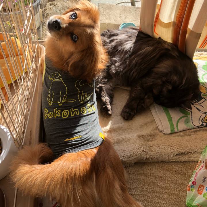 E3deea6b 1dc7 47bd a10e a29fbc280289 1515026936995