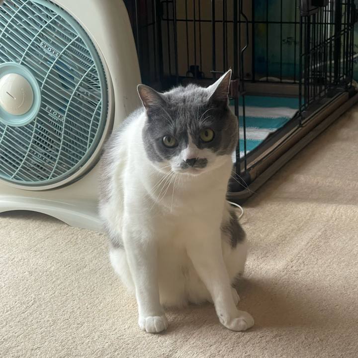 E3df3ef6 b276 4477 b913 9c117e4f15a3 1717717625202