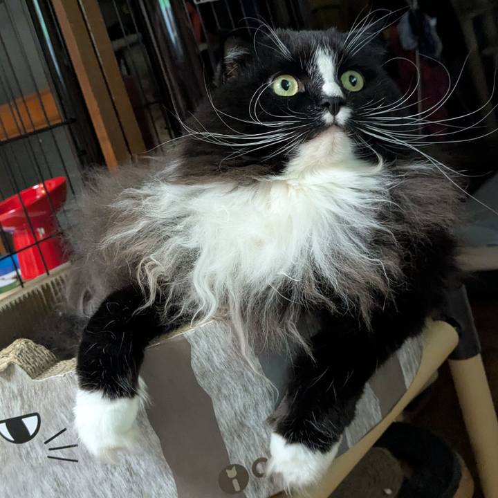 E3df50c6 02fd 491c a8a4 2f5016f9890d 1738148134752