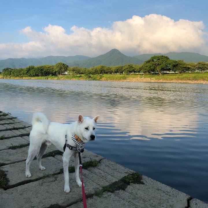 E3df74c7 5810 4500 8710 876b6f54526c 1532733430422