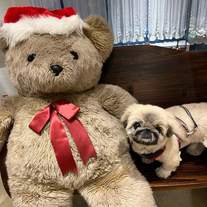 E3dfee5b 3629 40cc 9255 75c36b5d0210 1732139200903