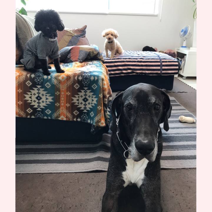 E3e06758 c831 4d4c bb7d 5553069bd488 1540421066451