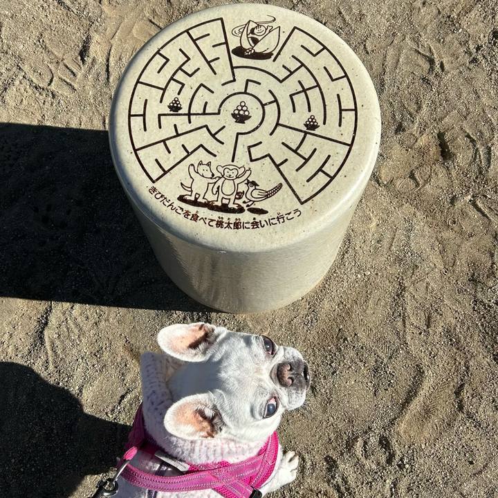 E3e07d0c 42ec 4753 a02b eda99121f21e 1736747486305