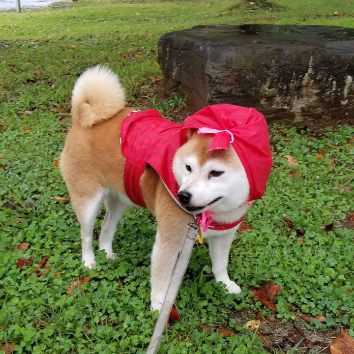 E3e0a2f2 9a91 4cf5 a1ad 3856c5020272 1631081727394