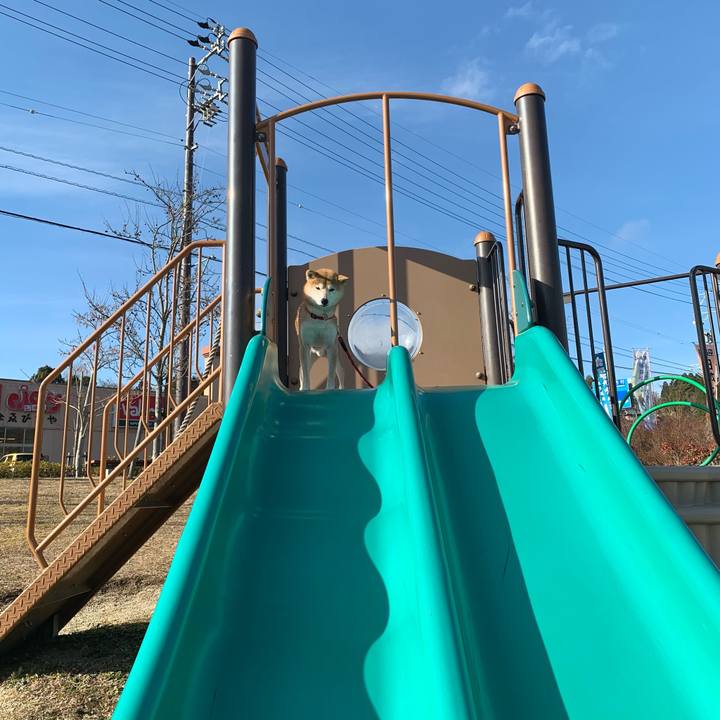 E3e0aed0 952e 42dd b48d 8f07f9fa9732 1609057416774