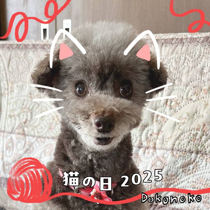 E3e0f135 279f 4a6c 811f 46e8ba8a7bed 1740122152853