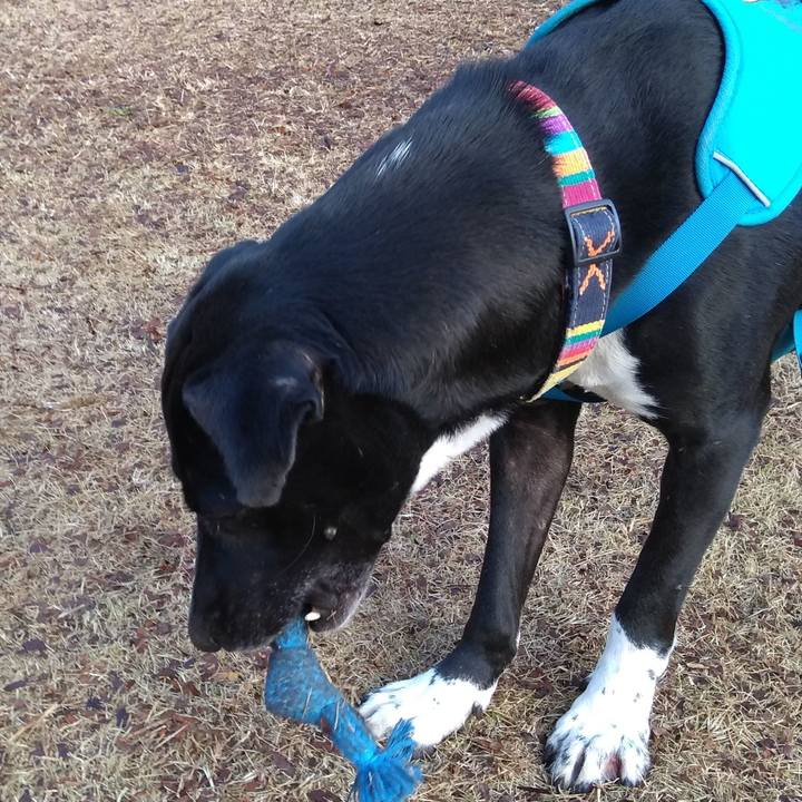 E3e0ffce 1f1a 428e a69f 03d0827af602 1613263804268