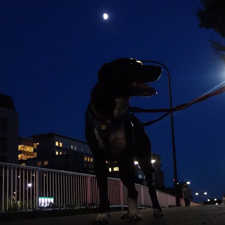 E3e109f1 4a53 4450 9de7 f610a0c706ad 1629284999187