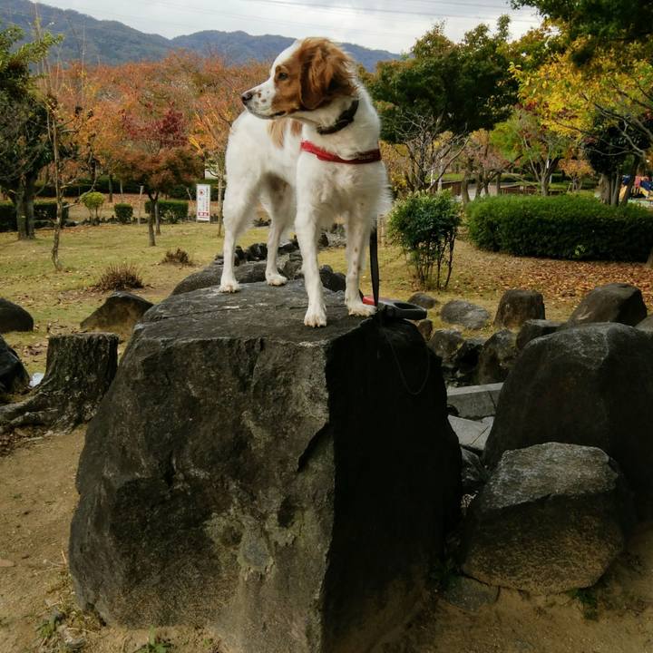 E3e201a4 2150 49f5 92f3 28959b57c5f5 1542617887686