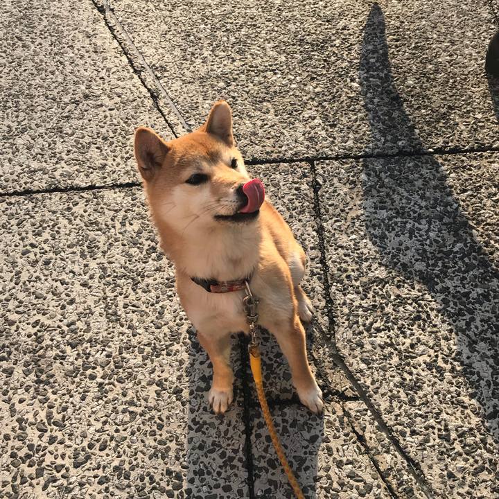 E3e20bdd 9bd4 442d 81fc 9d554da761ac 1561547094461