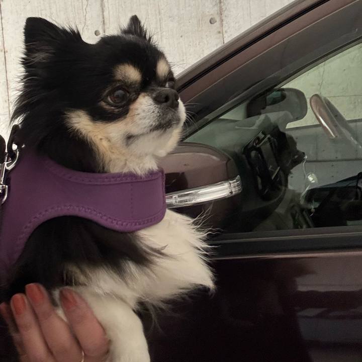 E3e2146e c54c 4e01 a60d 7747faa57d8a 1764902237999