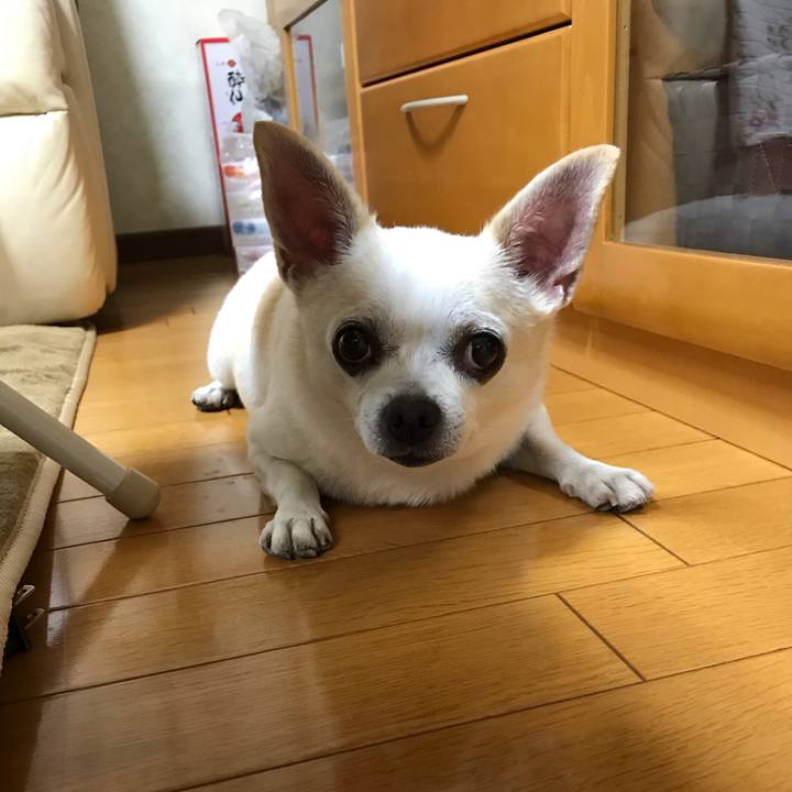 E3e22503 ae50 4971 be6b 8cb8aded43f5 1538743373898