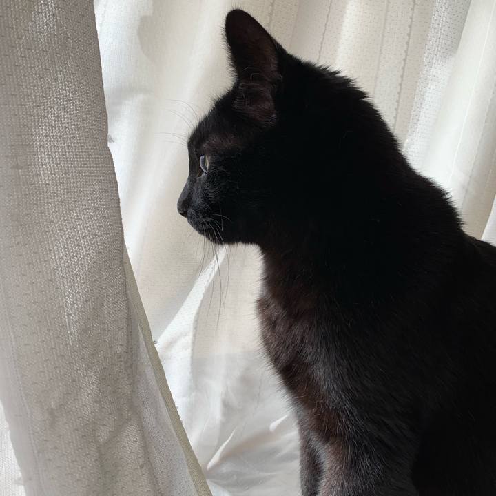 E3e28110 046a 4aca 8515 2165667a582a 1555982212152