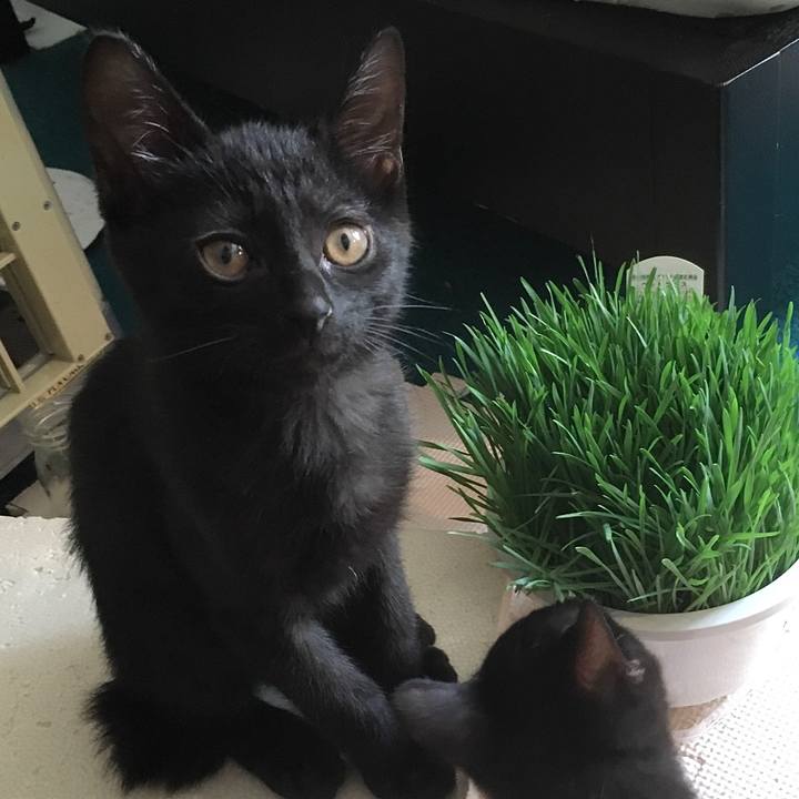 E3e2951f 9621 4870 a332 6dfc7c41fb8f 1626688187999