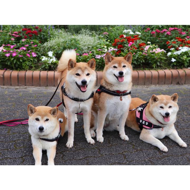 E3e2d3a8 1244 4812 84df d2ccb560edcb 1594568471504