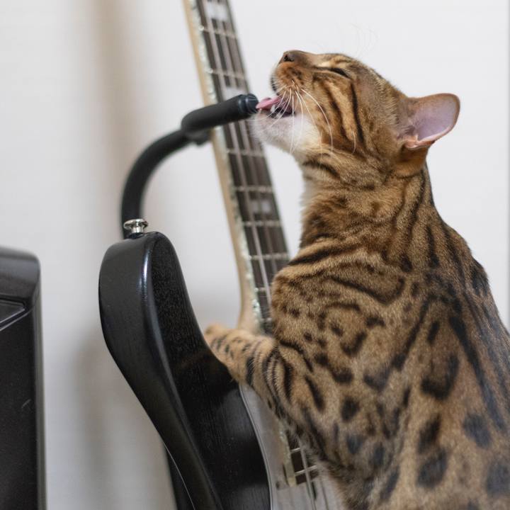 E3e2e53d 7247 4325 94f2 d4d34a15b608 1524842921327