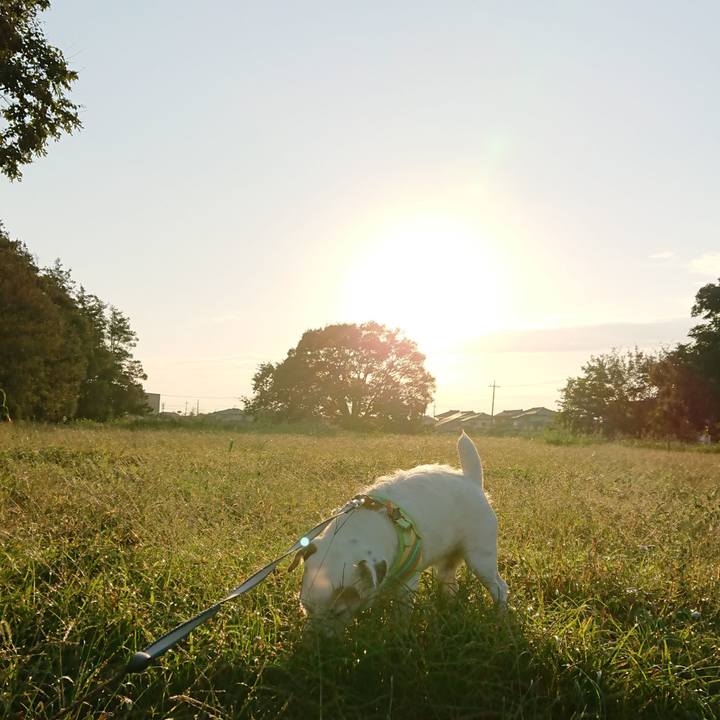 E3e31eab a04d 4ea2 8369 69609c82c30f 1539818546162